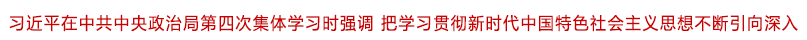 习近平在中共中央政治局第四次集体学习时强调.gif