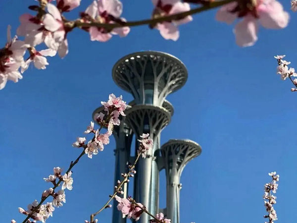 微信图片_20230403115012_副本.jpg